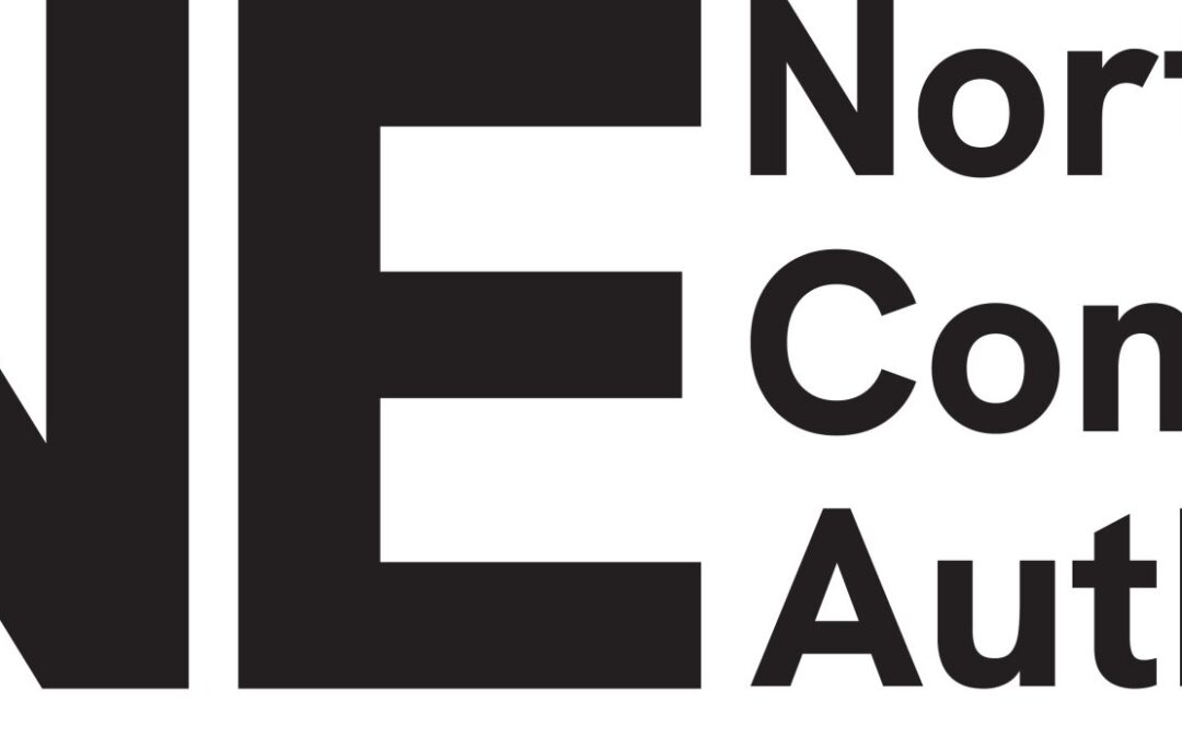 North East Combined Authority – Equality Impact Assessments