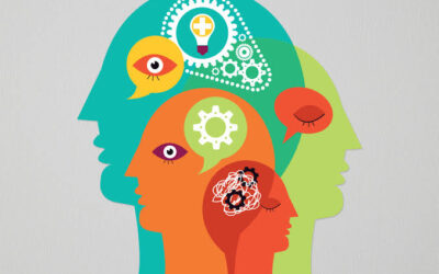 Assumptions, Bias and the Stories We Tell Ourselves